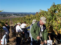 Wine Boot Camp - sonoma Coast