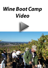 Wine Boot Camp Video